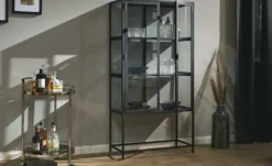 Sammlervitrine Seano