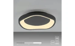 SCHÖNER WOHNEN Kollektion Deckenleuchte