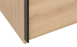Schwebetürenschrank Birmingham
