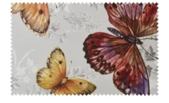 Schwienhorst Auflage Butterfly