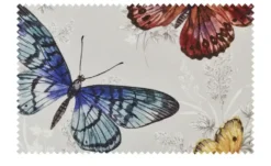 Schwienhorst Auflage Butterfly