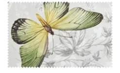 Schwienhorst Auflage Butterfly