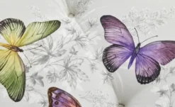 Schwienhorst Auflage Butterfly