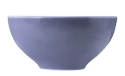 Seltmann Weiden Schüssel Beat