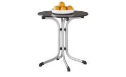 Sieger Klapptisch Vivodur®