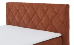 smart Boxbett Classic