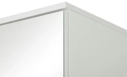 smart Mehrzweckhochschrank BEN
