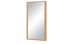 Spiegel 56 x 83,5 cm Novum