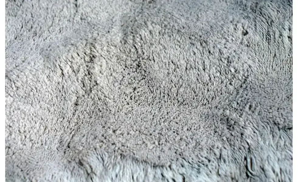 Teppich