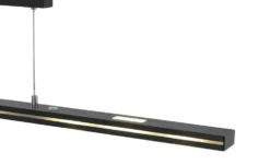 Trio LED-Pendelleuchte schwarz-matt