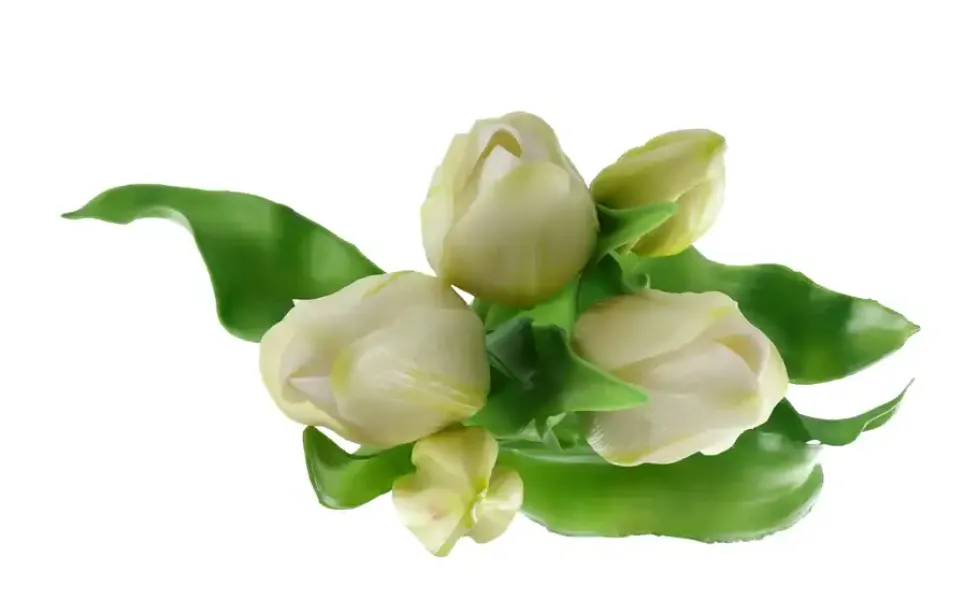 Tulpenbund