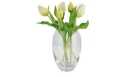 Tulpenbund