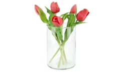 Tulpenbund
