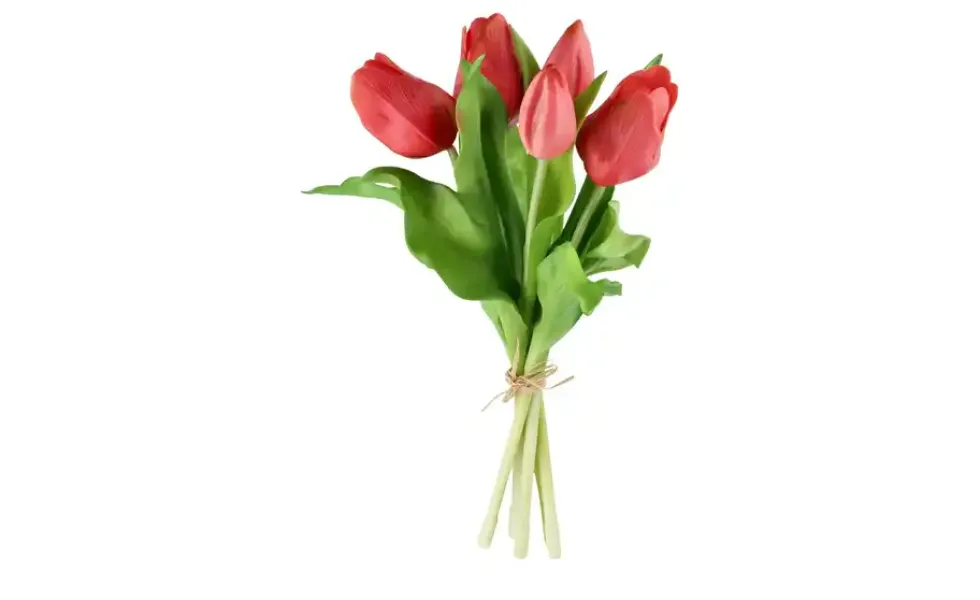 Tulpenbund