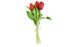 Tulpenbund
