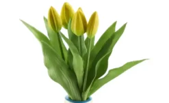 Tulpenbund 5fach