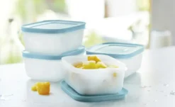 Tupperware Gefrierdosen-Set 4 x 450 ml