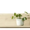 uno Wandboard Madera II