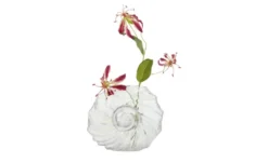Vase Muschel