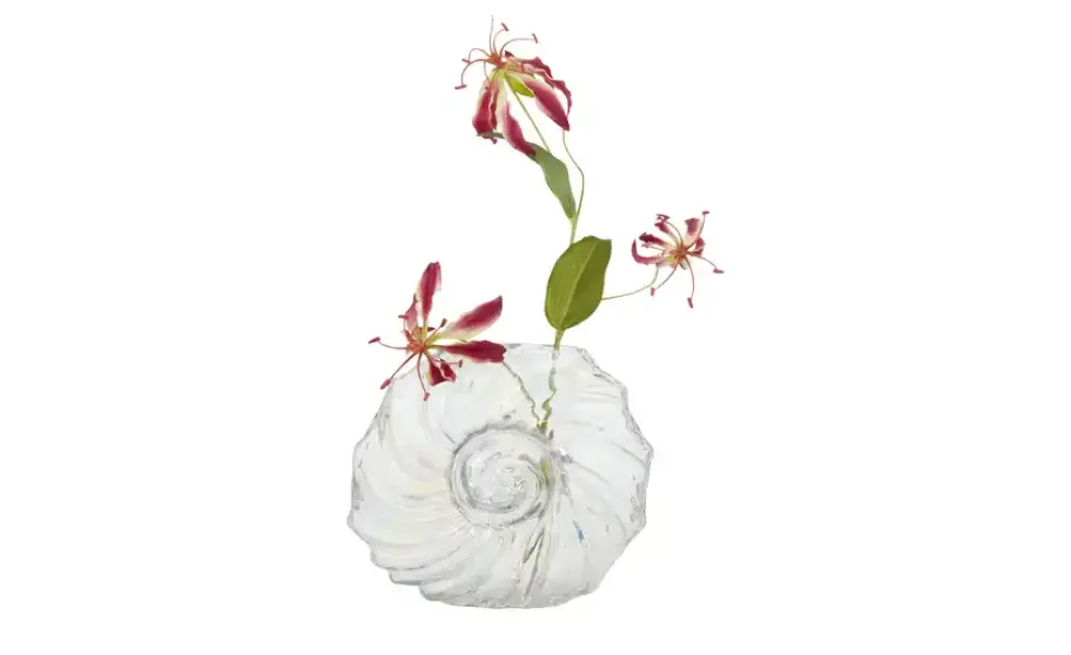 Vase Muschel