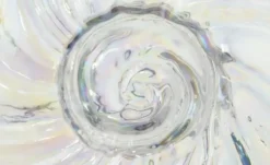 Vase Muschel