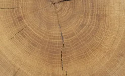 Vitrine Enego
