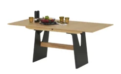 Wangentisch ausziehbar 4402