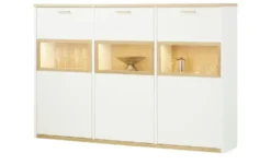 Wohnwert LED-Beleuchtung Libro Plus
