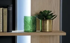 Woodford LED Beleuchtung Oakland