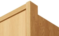 Woodford Drehtürenschrank Kyran