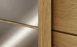 Woodford Schwebetürenschrank Kyran
