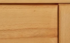 Woodford TV-Element Dio