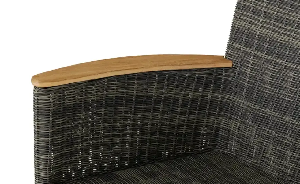 Zebra Relaxsessel Status